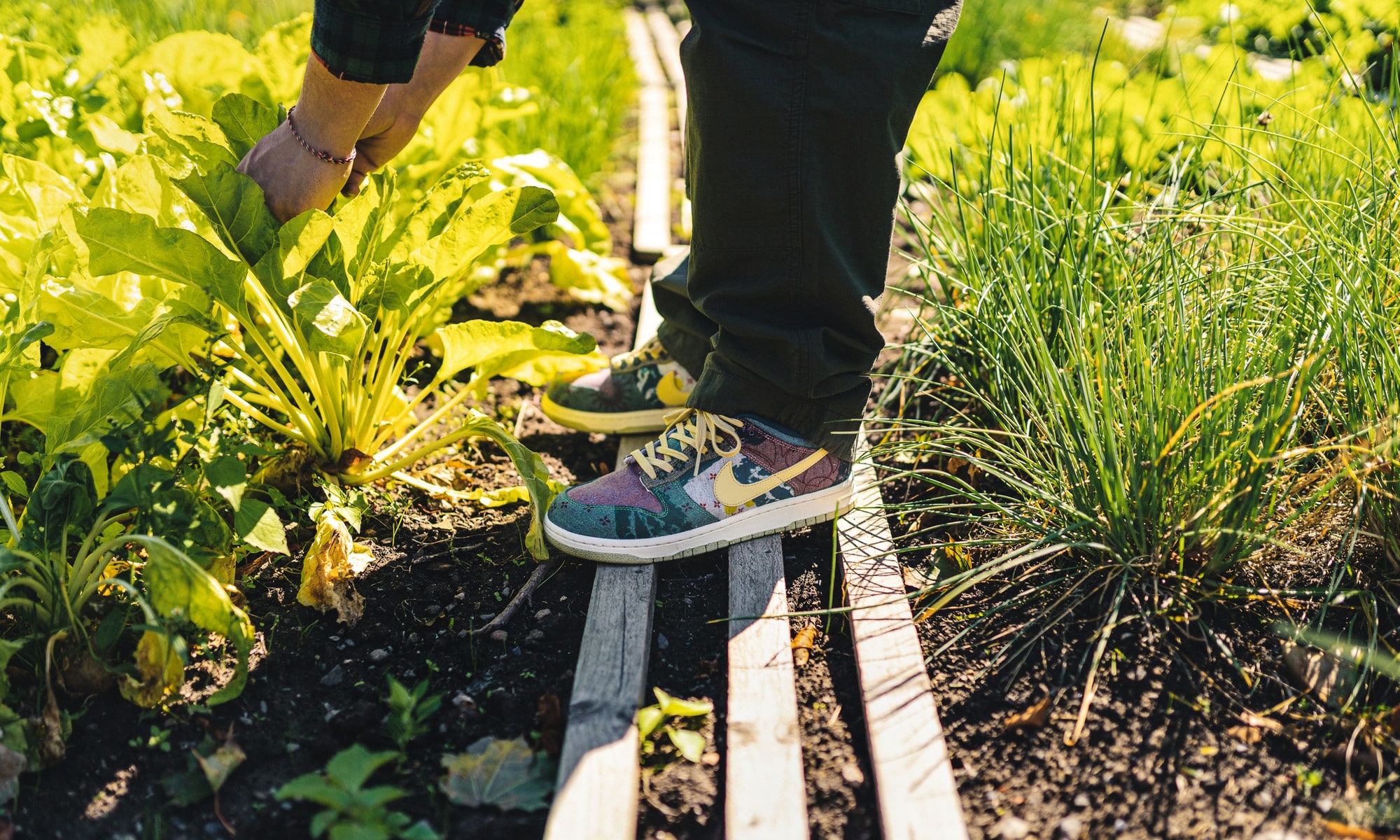 Community Garden Sb Dunk Lemon Wash Skate Nike Dunk Community